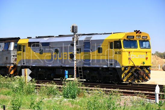Qube - 442 class locomotive - RailGallery