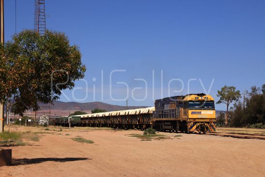 Pacific National - NR Class locomotive