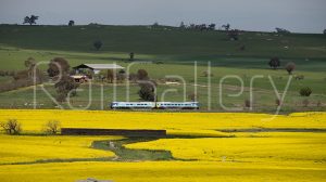 NSW Trainlink - XPLORER - RailGallery