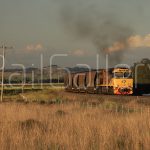 Aurizon - 5020 class locomotive - RailGallery