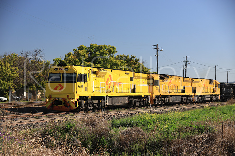 Aurizon - 6000 class locomotive - RailGallery