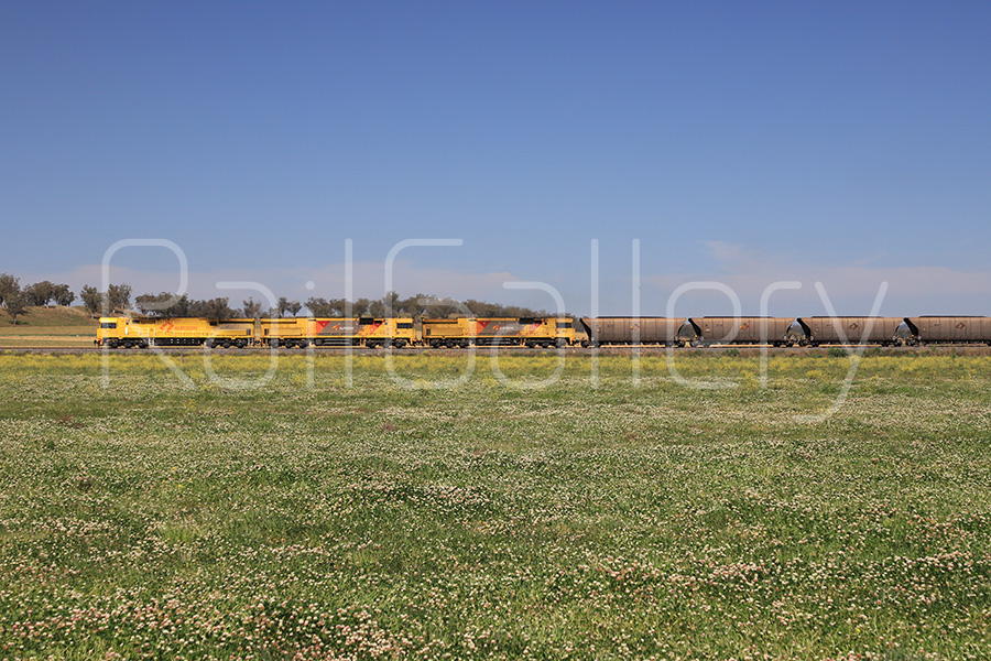 Aurizon - 6000 class locomotive - RailGallery