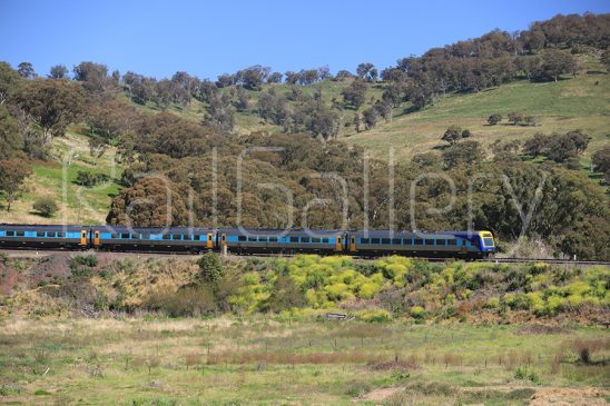 NSW Trainlink - XPLORER - RailGallery