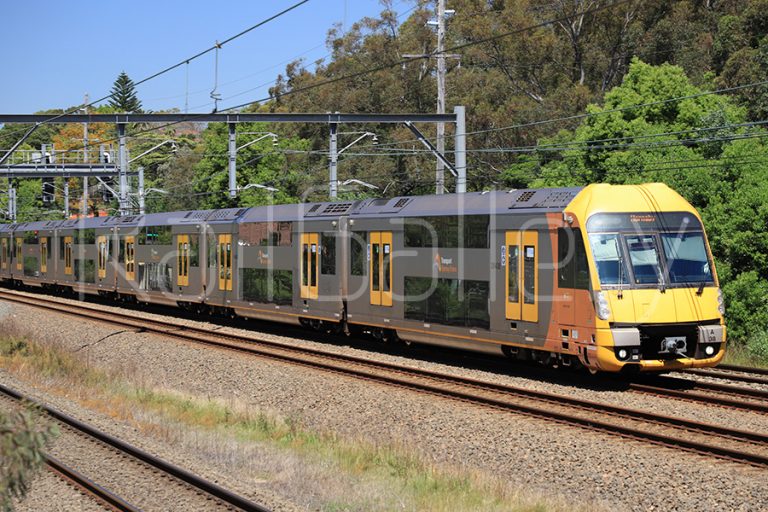 Sydney Trains Waratah A Set Photos - RailGallery Stock Library