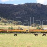 One Rail Australia - XRN class locomotive - RailGallery