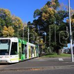 Melbourne C1 class Citadis tram | RailGallery