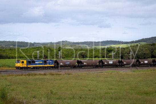 Pacific National 71 Class - Central Queensland Coal Network (CQCN)