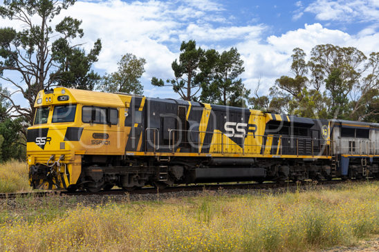 Southern Shorthaul Railroad - SSR class