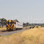 N class locomotive | RailGallery