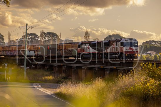 SCT class locomotive | RailGallery