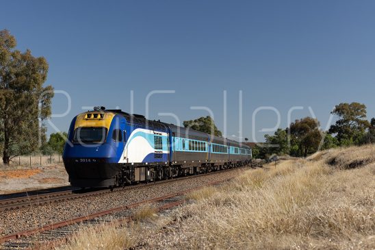XPT Xpress Passenger Train | RailGallery