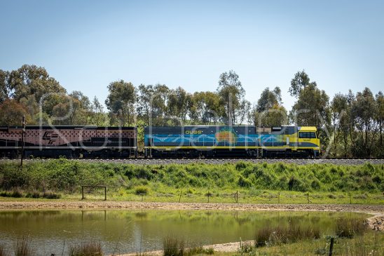 QL class locomotive | RailGallery