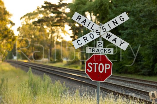 Passive level crossing | RailGallery_20230405_035