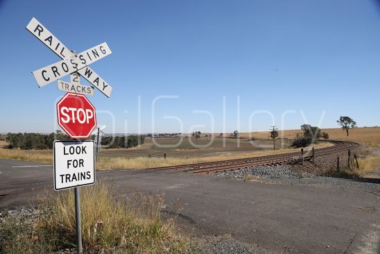 Passive level crossing | RailGallery_20240325_007