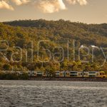 Waratah A Set | RailGallery