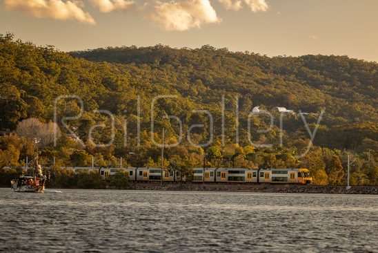 Waratah A Set | RailGallery